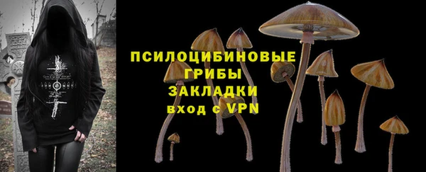 молекула духа Алексин