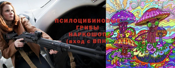 шишки Алексеевка