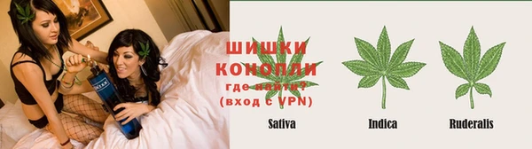 шишки Алексеевка