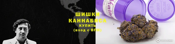шишки Алексеевка