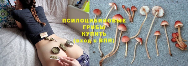 молекула духа Алексин