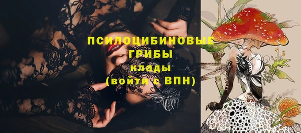 стаф Россошь