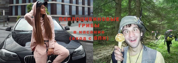 шишки Алексеевка