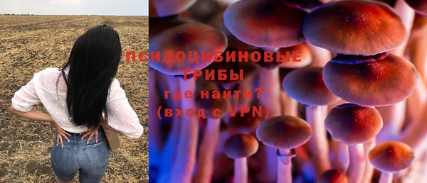 spice Алзамай