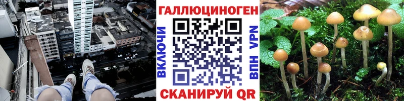 Псилоцибиновые грибы Psilocybine cubensis  как найти закладки  Краснокамск 